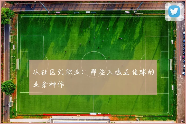 从社区到职业:那些入选五佳球的业余神作