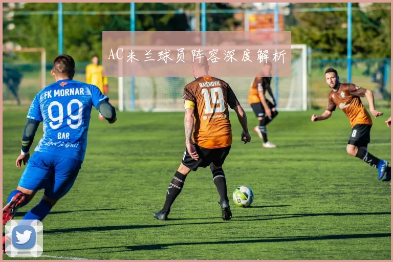 AC米兰球员阵容深度解析